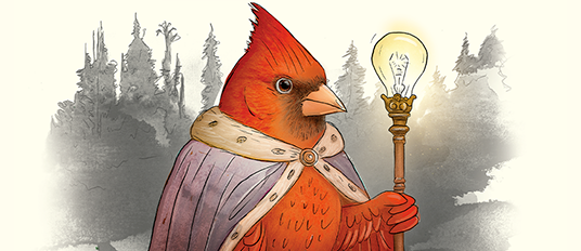 illustration2