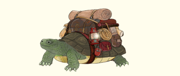 tortue_mini